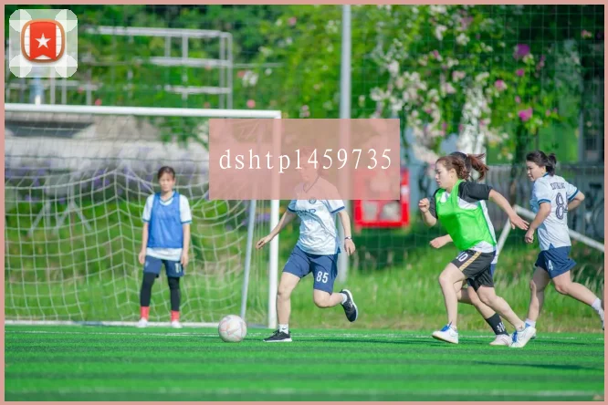 dshtpl459735
