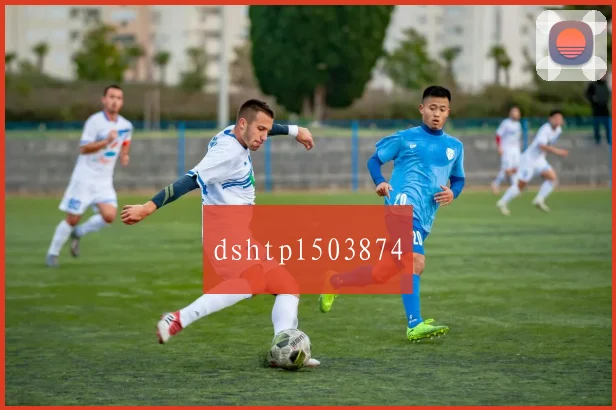 dshtpl503874
