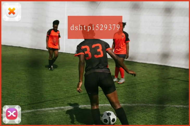 dshtpl529379